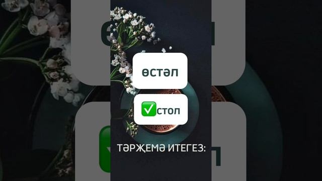 Переведите слова/Тәрҗемә итегез