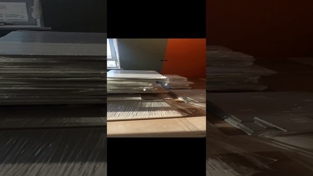 VID_20241206_123204.mp4