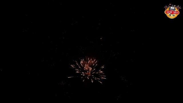 D8854, Диво Фейерверк, НОЧНОЙ МАНХЕТТЕН