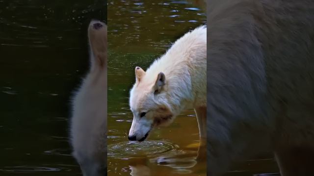 1000001214.mp4
