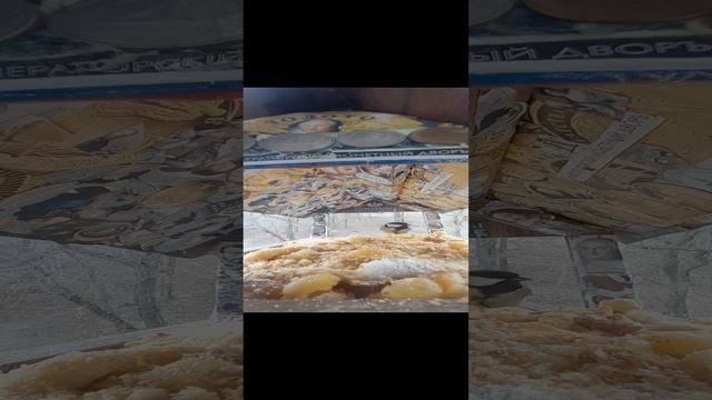 1000034733.mp4Р/А."Кормушка".06.12.2024г.