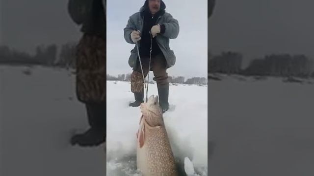 Жесть!!! Зимняя рыбалка