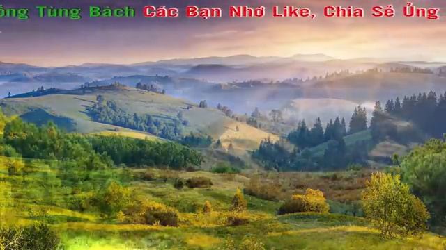 Giấc Mơ Chapi  Karaoke Beat Chuẩn  Tông Nam  Karaoke Nhạc Sống Tùng Bách