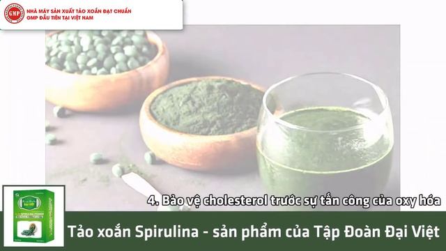 10 CÔNG DỤNG TẢO XOẮN BẠN CẦN PHẢI BIẾT