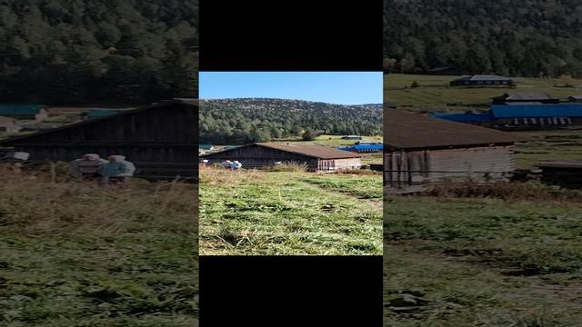 1000061408.mp4