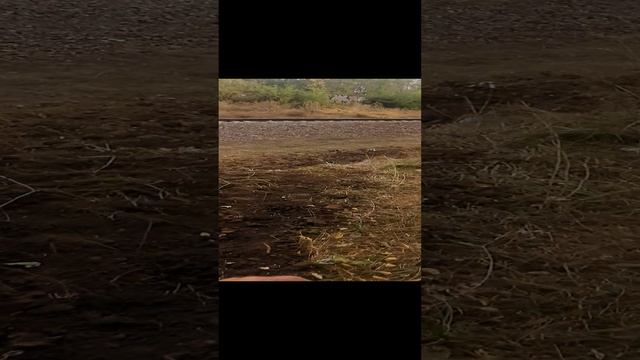 20240912_072953.mp4