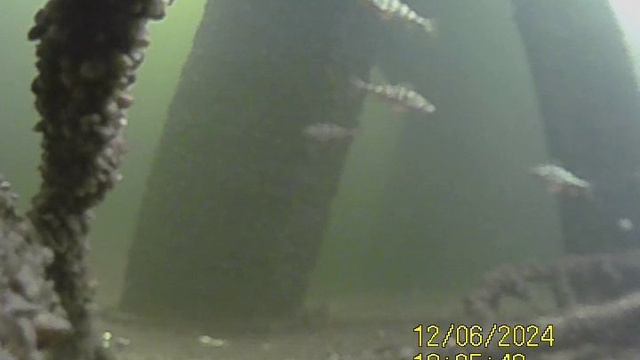 1000034755.mp4Волга гл.4м.06.12.2024г.