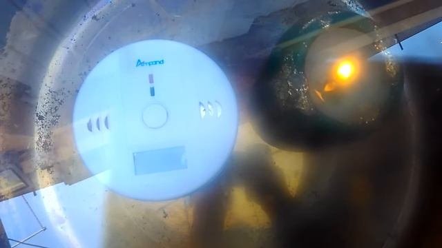 VID 20170530 102106