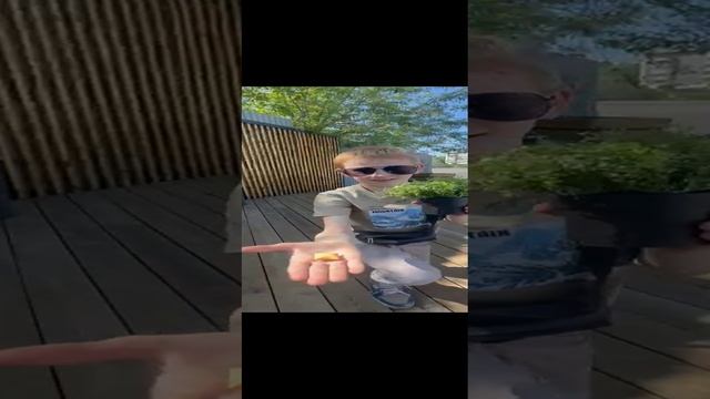 VID-20240524-WA0000.mp4