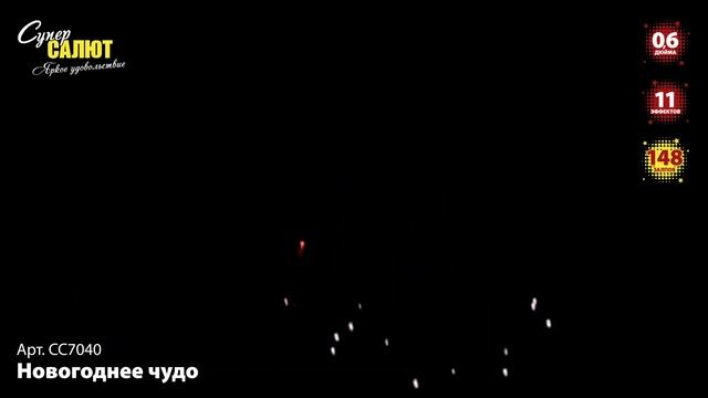 Новогоднее чудо | CC7040