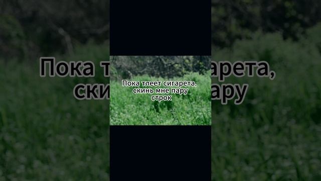 serofit воздух