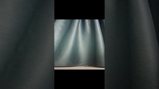 VID_20241206_190721.mp4