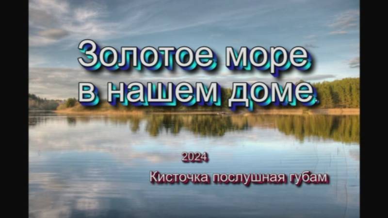 Золотое море в нашем доме. осень2024