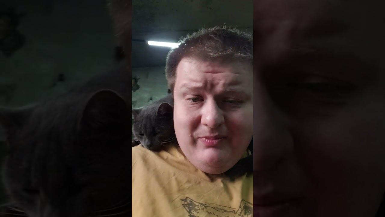 Чай с котом #automobile #череповец #ремонт