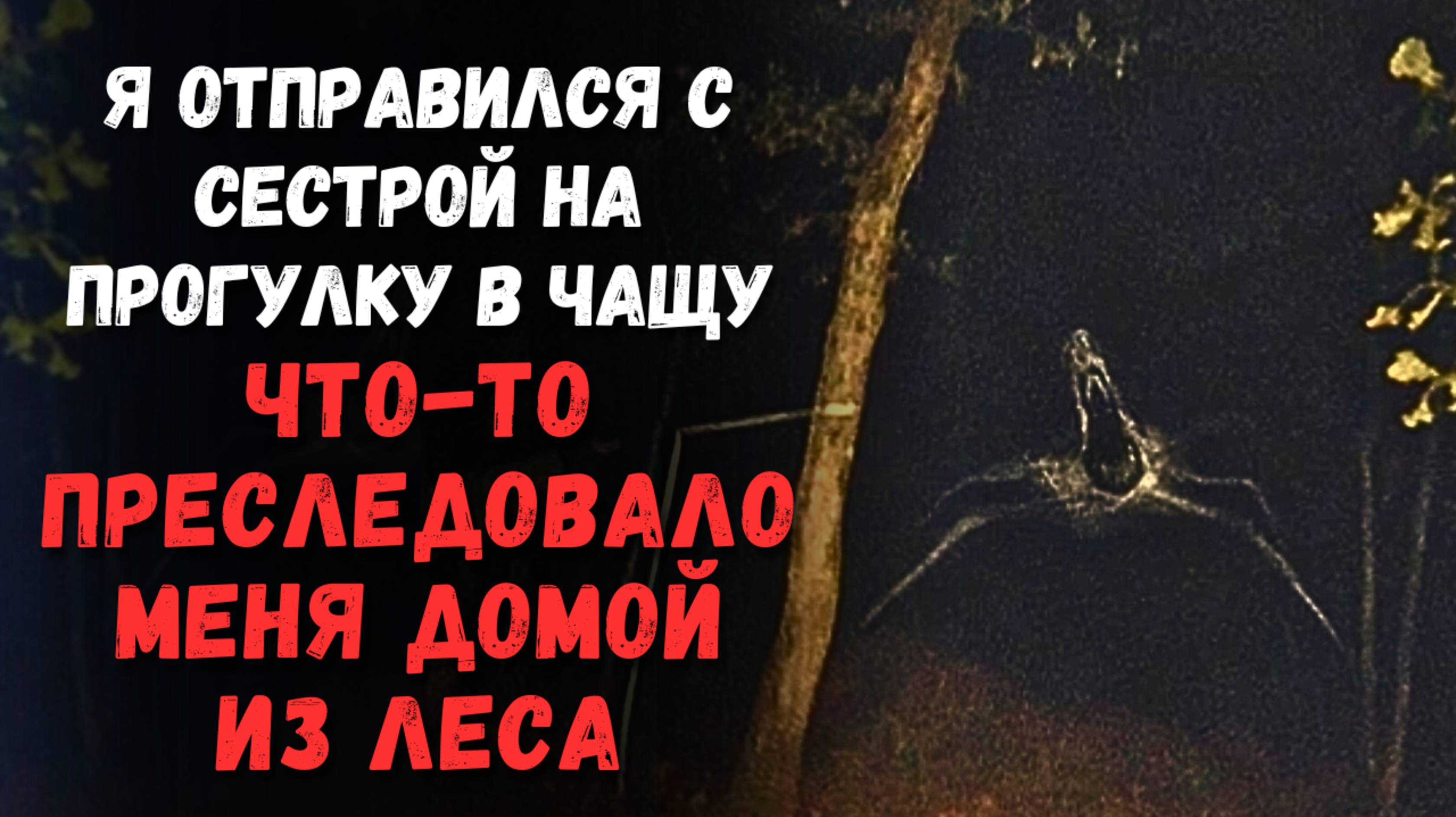 Что-то преследовало меня домой из леса... | Страшные Истории
