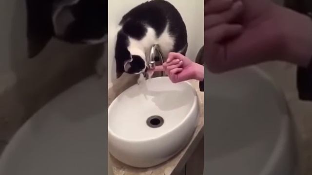 Кожаный, подсоби-ка)))
