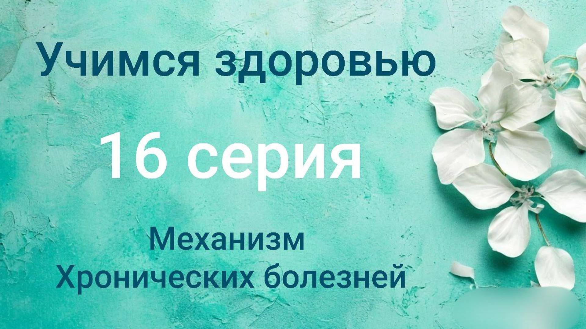 Учимся здоровью. 16 серия. Механизм хронических болезней