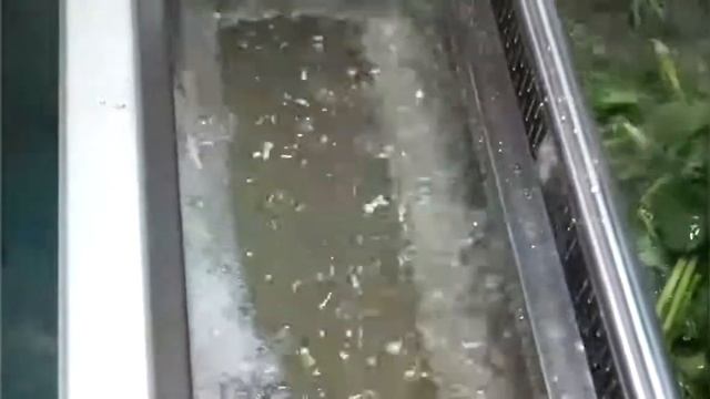 wasc 10 Ultrasonic Ozone Vegetable Fruit Washing and Cleaning Machine