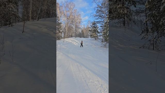 Лыжный сезон на Алтае открыт :) Зима и беговые лыжи!