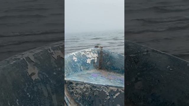 Старик и море