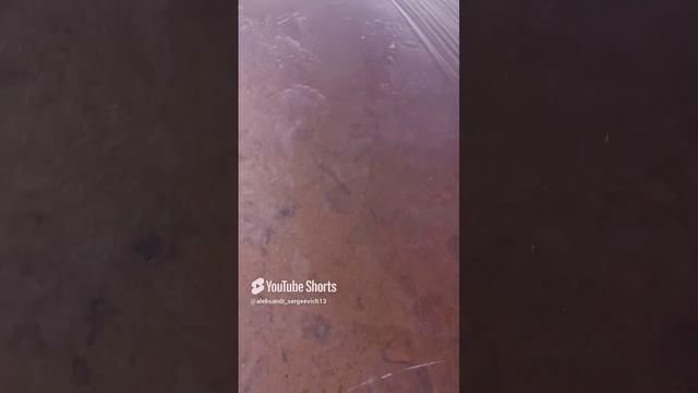 Ломаю прибрежный лёд