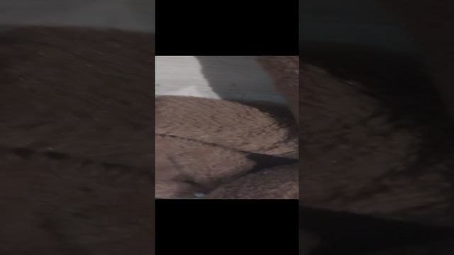 смешные новости