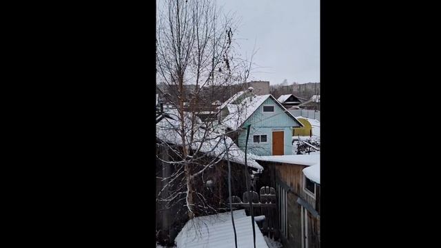 1000009023.mp4 (Собака смотрит на вариант электроснабжения дома А-фрейм)