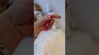 ▪️Завтра открою предзапись и проведу для вас тренировку в прямом эфире