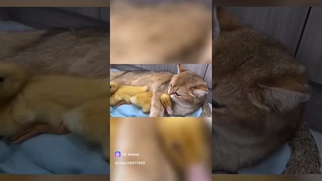 1000024565.mp4