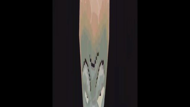 1000309582.mp4