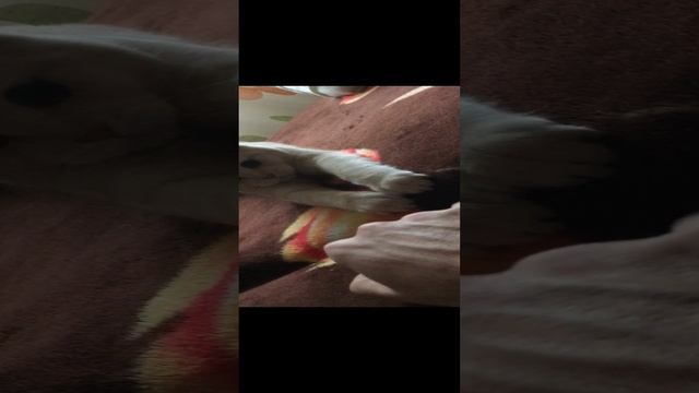07-12-2024