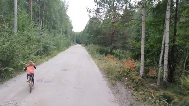 прогулки на велах