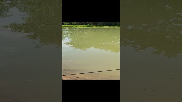 Строительство пирса