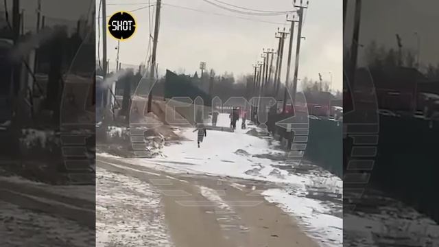 Толпа мигрантов-нелегалов сбежала с работы, узнав о рейде