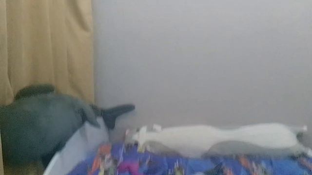 бедный голубь🕊😭