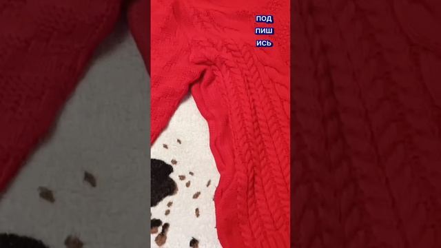 1000037250.mp4