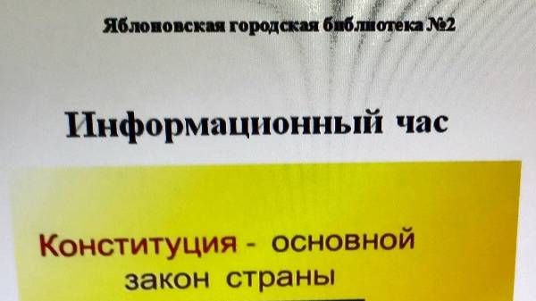 Информационный час: "Конституция - основной закон страны"