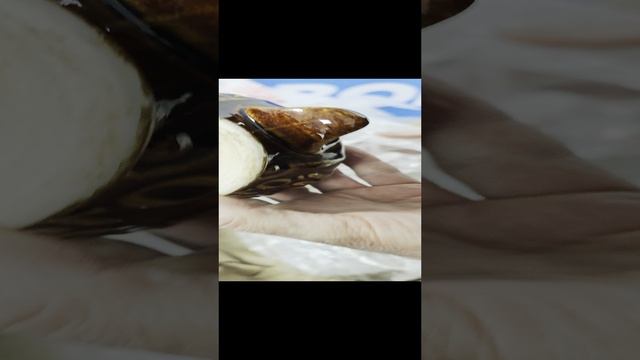 1000035837.mp4