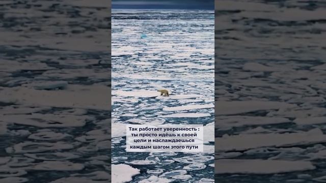 УВЕРЕНОСТЬ В СЕБЕ