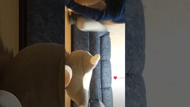 Like_7445662169148119531.mp4