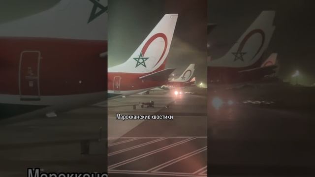 Из Касабланки в Москву на Boeing 737-800NG Royal Air Maroc 🇲🇦