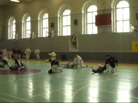 BudoFestival of Martial Arts 2008 - Seibukan Karate,Jinbukan Kobudo,Shudokan Aikido