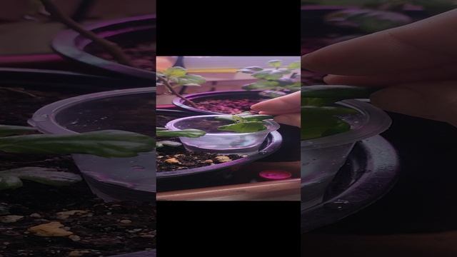 1000562693.mp4