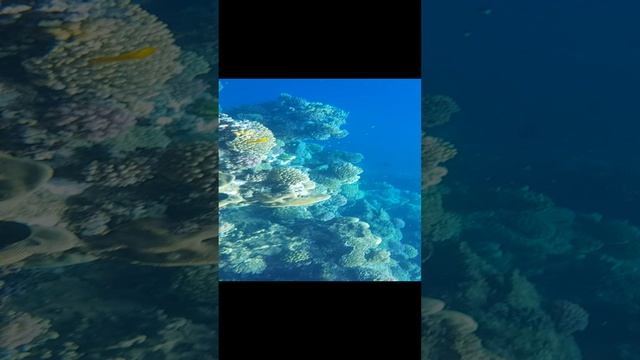 1000000256.mp4