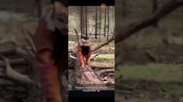 увидела на улице настоящего квадробера 😻
