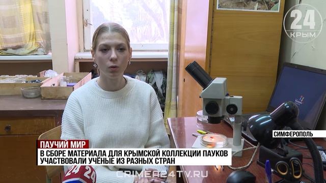 Крымские учёные создали одну из самых больших коллекций пауков в России