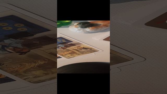 20241207_103148.mp4  Женское сердце