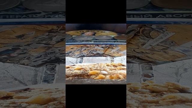 1000034776.mp4кормушка.07.12.2024г