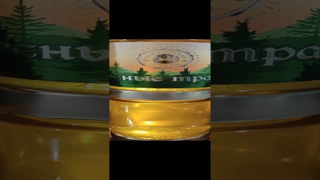 1000034399.mp4