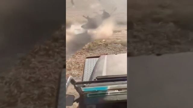 21.mp4